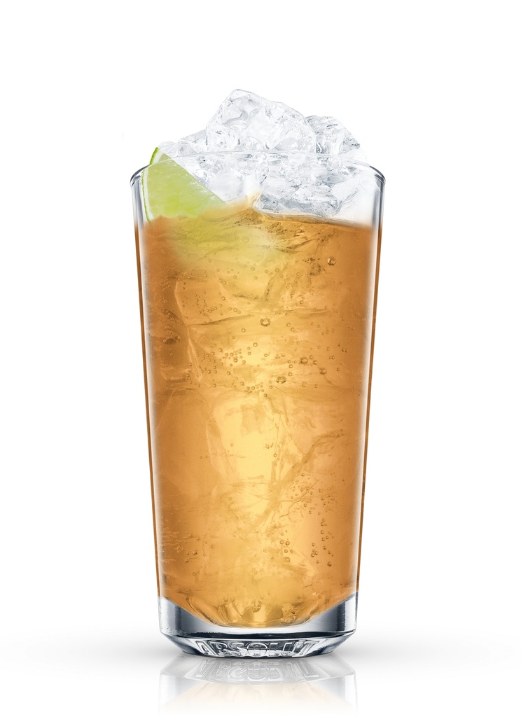 Mojito Fidel